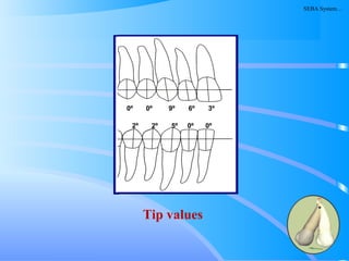 0º 0º 9º
º 2º 2º
157
0º 0º 9º 6º 3º
2º 2º 5º 0º 0º
Tip values
SEBA System…
 