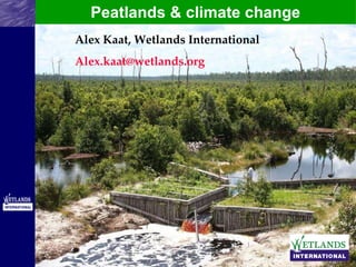 Peatlands & climate change Alex Kaat, Wetlands International [email_address] 
