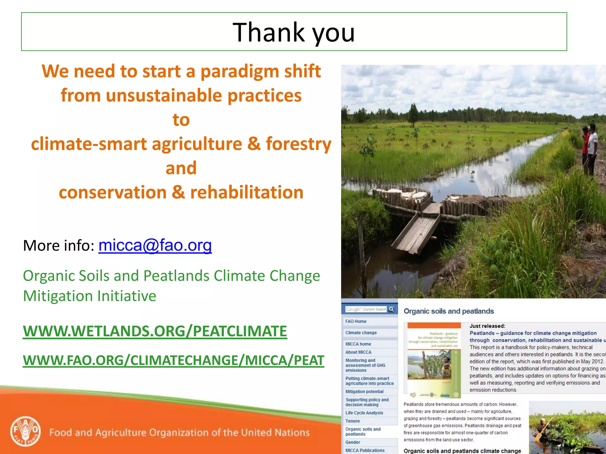 Thank you
  We need to start a paradigm shift
     from unsustainable practices
                  to
 climate-smart agriculture & forestry
                 and
     conservation & rehabilitation

More info: micca@fao.org
Organic Soils and Peatlands Climate Change
Mitigation Initiative

WWW.WETLANDS.ORG/PEATCLIMATE
WWW.FAO.ORG/CLIMATECHANGE/MICCA/PEAT
 