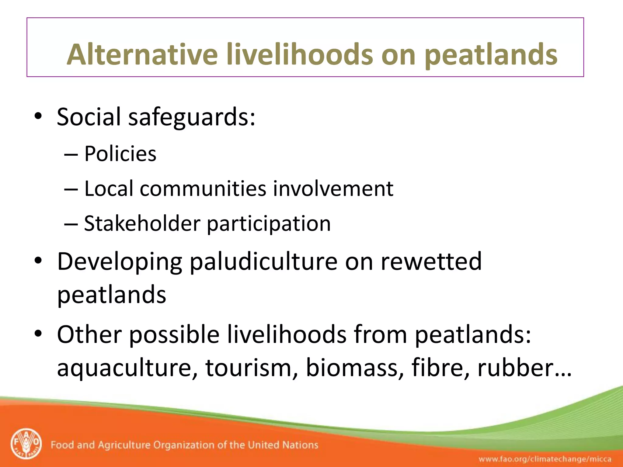Alternative livelihoods on peatlands
• Social safeguards:
  – Policies
  – Local communities involvement
  – Stakeholder participation
• Developing paludiculture on rewetted
  peatlands
• Other possible livelihoods from peatlands:
  aquaculture, tourism, biomass, fibre, rubber…
 