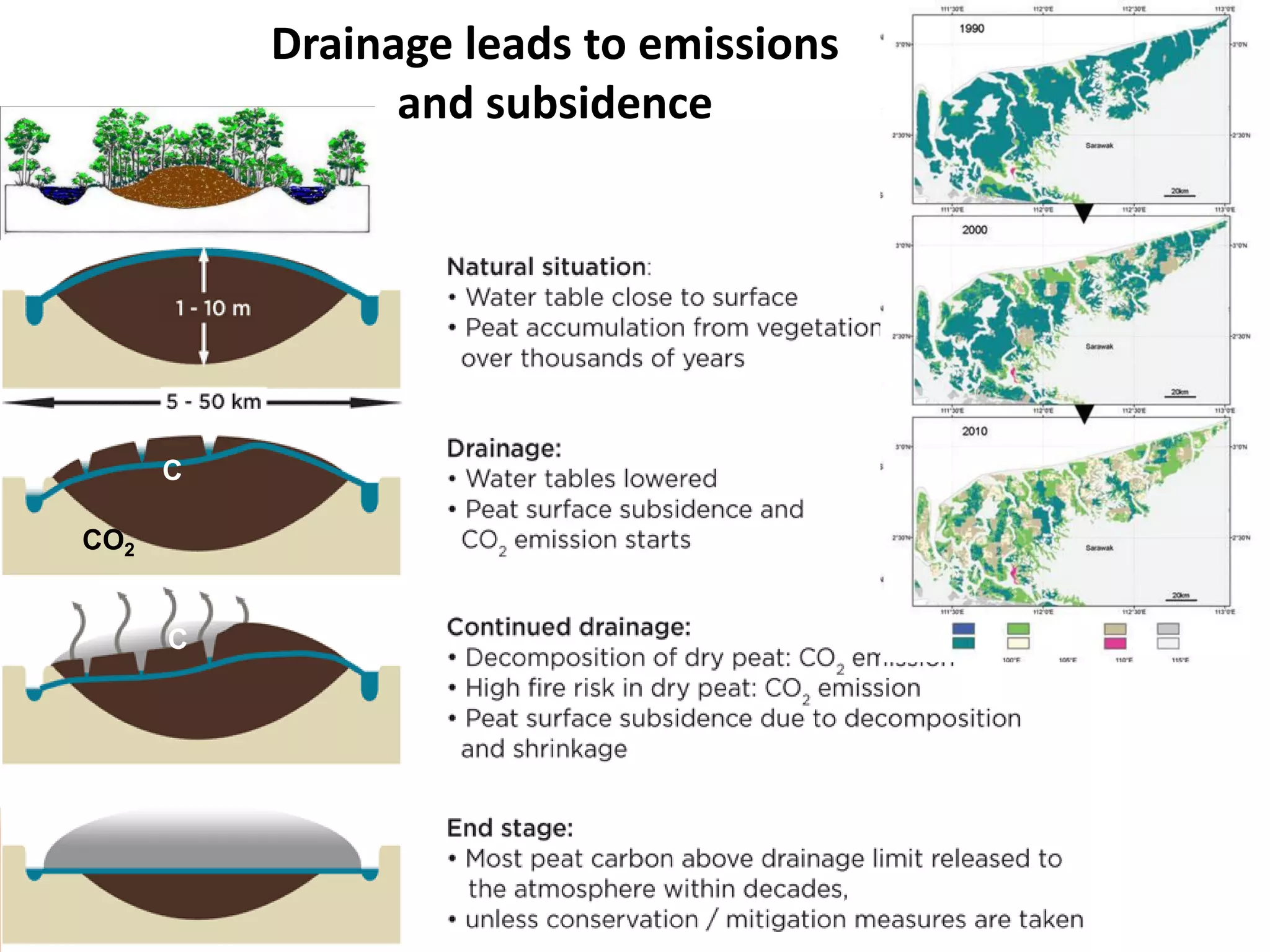 Drainage leads to emissions
                and subsidence




      C

CO2


      C
 