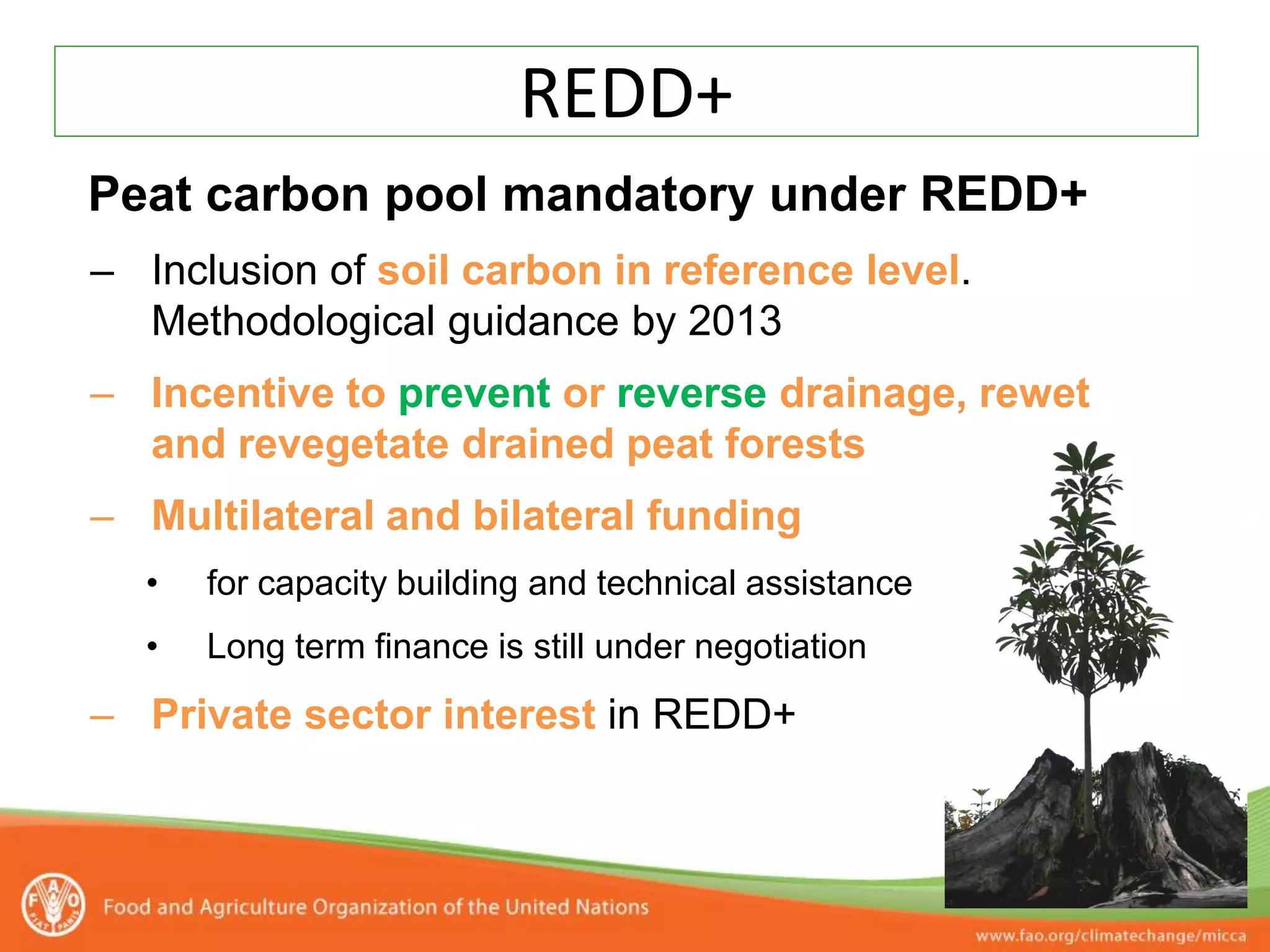 REDD+
Peat carbon pool mandatory under REDD+
– Inclusion of soil carbon in reference level.
  Methodological guidance by 2013
– Incentive to prevent or reverse drainage, rewet
  and revegetate drained peat forests
– Multilateral and bilateral funding
  •   for capacity building and technical assistance
  •   Long term finance is still under negotiation
– Private sector interest in REDD+
 