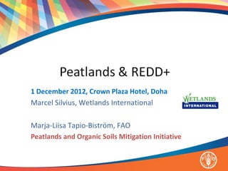 1 December 2012, Crown Plaza Hotel, Doha
Marcel Silvius, Wetlands International

Marja-Liisa Tapio-Biström, FAO
Peatlands and Organic Soils Mitigation Initiative
 