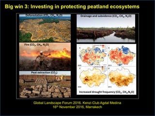 Deforestation (CO2, CH4, N2O)
Fire (CO2, CH4, N2O)
Drainage and subsidence (CO2, CH4, N2O)
Increased drought frequency (CO2, CH4,N2O)
Peat extraction (CO2)
Big win 3: Investing in protecting peatland ecosystems
Global Landscape Forum 2016. Kenzi Club Agdal Medina
16th November 2016, Marrakech
 
