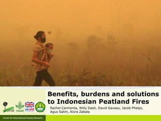 Benefits, burdens and solutions
to Indonesian Peatland Fires
Rachel Carmenta, Willy Daeli, David Gaveau, Jacob Phelps,
Agus Salim, Aiora Zabala
 