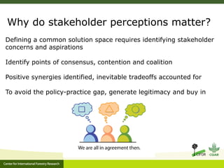 Benefits, burdens and solutions to Indonesian Peatland Fires