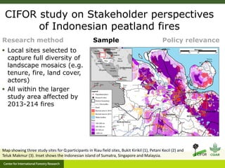 Benefits, burdens and solutions to Indonesian Peatland Fires