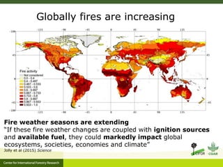 Benefits, burdens and solutions to Indonesian Peatland Fires