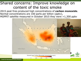 Benefits, burdens and solutions to Indonesian Peatland Fires
