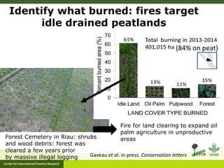 Benefits, burdens and solutions to Indonesian Peatland Fires
