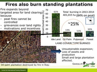 Benefits, burdens and solutions to Indonesian Peatland Fires