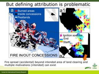 Benefits, burdens and solutions to Indonesian Peatland Fires