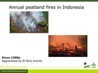 Benefits, burdens and solutions to Indonesian Peatland Fires