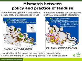 Benefits, burdens and solutions to Indonesian Peatland Fires
