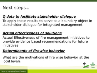 Benefits, burdens and solutions to Indonesian Peatland Fires