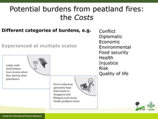 Benefits, burdens and solutions to Indonesian Peatland Fires