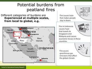 Benefits, burdens and solutions to Indonesian Peatland Fires
