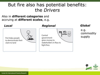 Benefits, burdens and solutions to Indonesian Peatland Fires