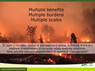 Benefits, burdens and solutions to Indonesian Peatland Fires