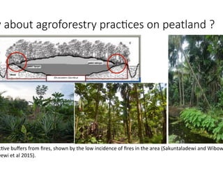Peatland restoration - role of agroforestry- by Atiek Widayati _ICRAF