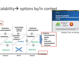 Peatland restoration - role of agroforestry- by Atiek Widayati _ICRAF