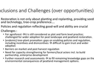Peatland restoration - role of agroforestry- by Atiek Widayati _ICRAF