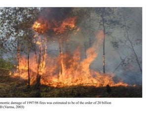 Peatland restoration - role of agroforestry- by Atiek Widayati _ICRAF