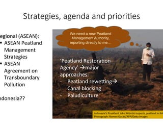 Peatland restoration - role of agroforestry- by Atiek Widayati _ICRAF