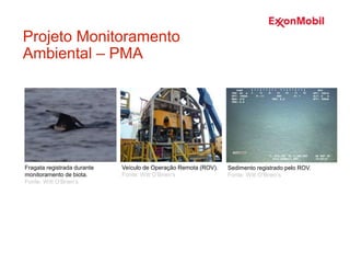 Veículo de Operação Remota (ROV).
Fonte: Witt O’Brien’s
Sedimento registrado pelo ROV.
Fonte: Witt O’Brien’s
Fragata registrada durante
monitoramento de biota.
Fonte: Witt O’Brien’s
Projeto Monitoramento
Ambiental – PMA
 