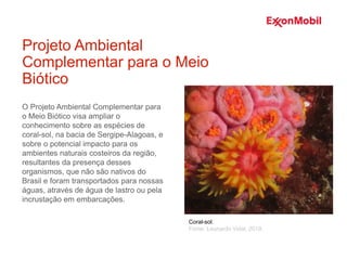 O Projeto Ambiental Complementar para
o Meio Biótico visa ampliar o
conhecimento sobre as espécies de
coral-sol, na bacia de Sergipe-Alagoas, e
sobre o potencial impacto para os
ambientes naturais costeiros da região,
resultantes da presença desses
organismos, que não são nativos do
Brasil e foram transportados para nossas
águas, através de água de lastro ou pela
incrustação em embarcações.
Projeto Ambiental
Complementar para o Meio
Biótico
Coral-sol.
Fonte: Leonardo Vidal, 2019.
 