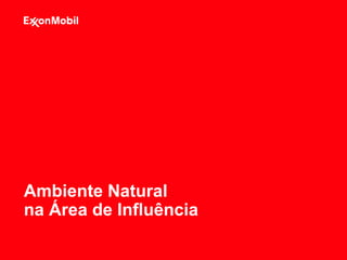 Ambiente Natural
na Área de Influência
 