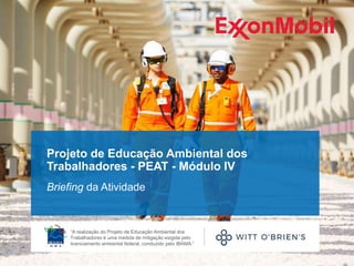Projeto de Educação Ambiental dos
Trabalhadores - PEAT - Módulo IV
Briefing da Atividade
“A realização do Projeto de Educa...