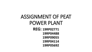ASSIGNMENT OF PEAT
POWER PLANT
REG: 19RP02771
19RP04488
19RP09055
19RP04114
19RP05692
 