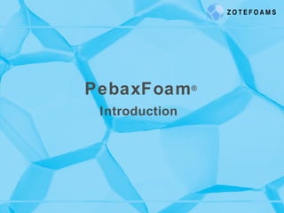 PebaxFoam®
Introduction
 