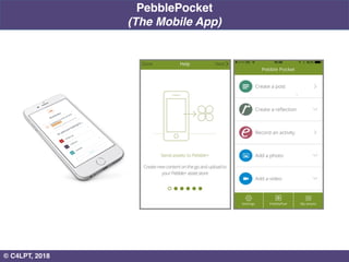 PebblePocket
(The Mobile App)
8© C4LPT, 2018
 