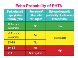 Echo Probability of PHTN
 