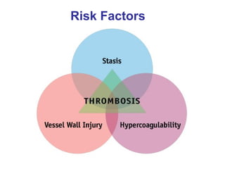 Risk Factors
 