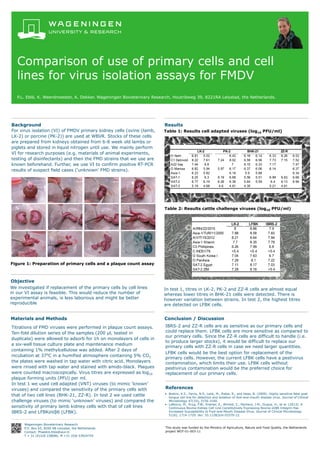 Comparison of use of primary cells and cell
lines for virus isolation assays for FMDV
P.L. Eblé, K. Weerdmeester, A. Dekker. Wageningen Bioveterinary Research, Houtribweg 39, 8221RA Lelystad, the Netherlands.
Background
For virus isolation (VI) of FMDV primary kidney cells (ovine (lamb,
LK-2) or porcine (PK-2)) are used at WBVR. Stocks of these cells
are prepared from kidneys obtained from 6-8 week old lambs or
piglets and stored in liquid nitrogen until use. We mainly perform
VI for research purposes (e.g. materials of animal experiments,
testing of disinfectants) and then the FMD strains that we use are
known beforehand. Further, we use VI to confirm positive RT-PCR
results of suspect field cases (‘unknown’ FMD strains).
Results
In test 1, titres in LK-2, PK-2 and ZZ-R cells are almost equal
whereas lower titres in BHK-21 cells were detected. There is
however variation between strains. In test 2, the highest titres
are detected on LFBK cells.
Objective
We investigated if replacement of the primary cells by cell lines
in our VI assay is feasible. This would reduce the number of
experimental animals, is less laborious and might be better
reproducible
References
• Brehm, K.E., Ferris, N.P., Lenk, M., Riebe, R., and Haas, B. (2009). Highly sensitive fetal goat
tongue cell line for detection and isolation of foot-and-mouth disease virus. Journal of Clinical
Microbiology 47(10), 3156-3160.
• LaRocco, M., Krug, P.W., Kramer, E., Ahmed, Z., Pacheco, J.M., Duque, H., et al. (2013). A
Continuous Bovine Kidney Cell Line Constitutively Expressing Bovine αVβ6 Integrin Has
Increased Susceptibility to Foot-and-Mouth Disease Virus. Journal of Clinical Microbiology
51(6), 1714-1720. doi: 10.1128/jcm.03370-12.
This study was funded by the Ministry of Agriculture, Nature and Food Quality, the Netherlands
project WOT-01-003-11
Wageningen Bioveterinary Research
P.O. Box 65, 8200 AB Lelystad, the Netherlands
Contact: Phaedra.Eble@wur.nl
T + 31 (0)320 238680, M +31 (0)6 53924754
Materials and Methods
Titrations of FMD viruses were performed in plaque count assays.
Ten-fold dilution series of the samples (200 µl, tested in
duplicate) were allowed to adsorb for 1h on monolayers of cells in
a six-well tissue culture plate and maintenance medium
containing 1% methylcellulose was added. After 2 days of
incubation at 370C in a humified atmosphere containing 5% CO2
the plates were washed in tap water with citric acid. Monolayers
were rinsed with tap water and stained with amido-black. Plaques
were counted macroscopically. Virus titres are expressed as log10
plaque forming units (PFU) per ml.
In test 1 we used cell adapted (VNT) viruses (to mimic ‘known’
viruses) and compared the sensitivity of the primary cells with
that of two cell lines (BHK-21, ZZ-R). In test 2 we used cattle
challenge viruses (to mimic ‘unknown’ viruses) and compared the
sensitivity of primary lamb kidney cells with that of cell lines
IBRS-2 and LFBKαVβ6 (LFBK).
Table 1: Results cell adapted viruses (log10 PFU/ml)
Figure 1: Preparation of primary cells and a plaque count assay
Conclusion / Discussion
IBRS-2 and ZZ-R cells are as sensitive as our primary cells and
could replace them. LFBK cells are more sensitive as compared to
our primary cells. Since the ZZ-R cells are difficult to handle (i.e.
to produce larger stocks), it would be difficult to replace our
primary cells with ZZ-R cells in case we need larger quantities.
LFBK cells would be the best option for replacement of the
primary cells. However, the current LFBK cells have a pestivirus
contamination, which limits their use. LFBK cells without
pestivirus contamination would be the preferred choice for
replacement of our primary cells.
Table 2: Results cattle challenge viruses (log10 PFU/ml)
 