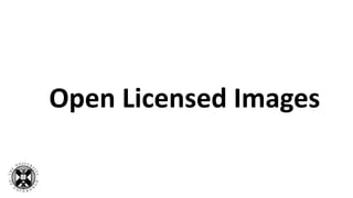Open Licensed Images
 