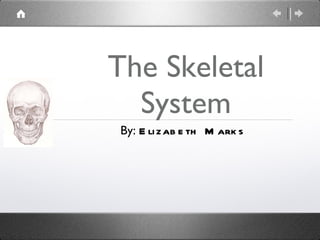 The Skeletal System By:  Elizabeth Marks 