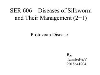 SER 606 – Diseases of Silkworm
and Their Management (2+1)
Protozoan Disease
By,
Tamilselvi.V
2018641904
 