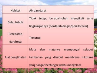 Habitat Air dan darat
Suhu tubuh
Tidak tetap, berubah-ubah mengikuti suhu
lingkungannya (berdarah dingin/poikiloterm)
Peredaran
darahnya
Tertutup
Alat penglihatan
Mata dan matanya mempunyai selaput
tambahan yang disebut membrana niktitans
yang sangat berfungsi waktu menyelam
 