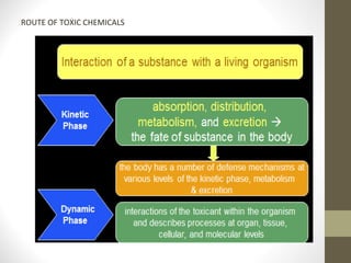 BIOCHEMICALS EFFECTS OF TOXIC CHEMICLAS | PPT