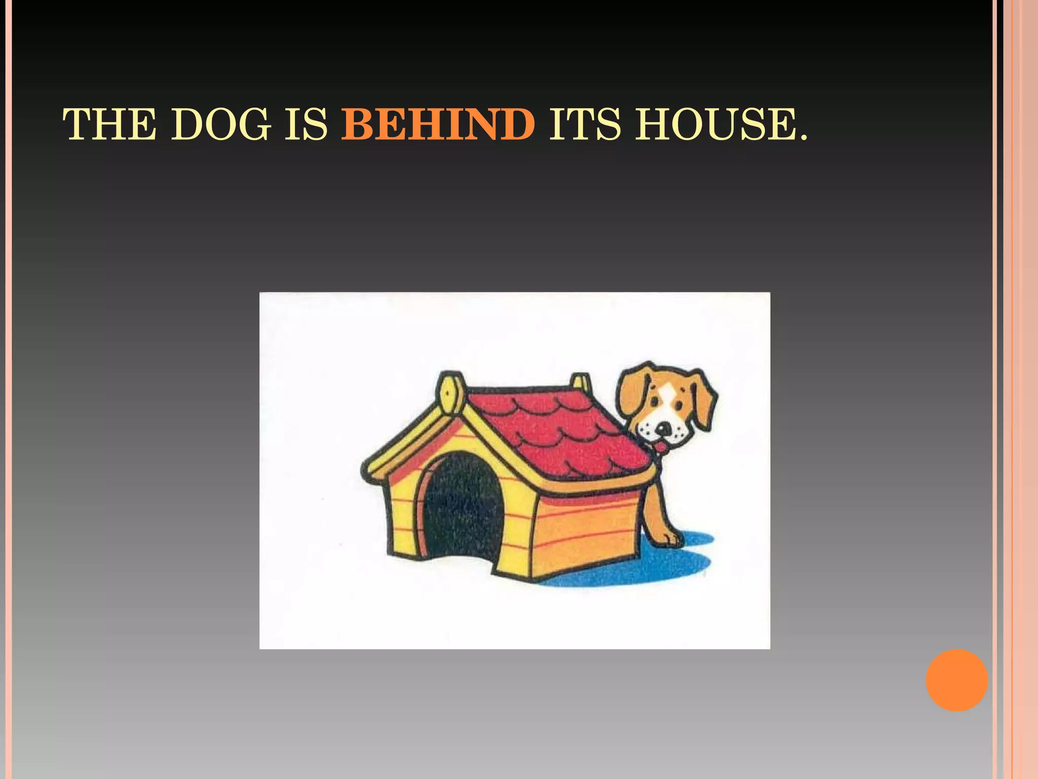 THE DOG IS  BEHIND  ITS HOUSE. 