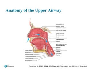 Pec11 chap 10   airway, ventilation, oxygenation