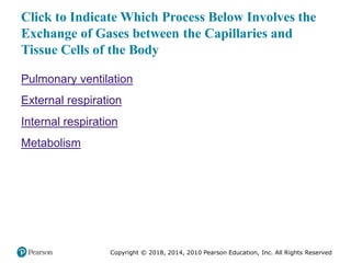 Pec11 chap 10   airway, ventilation, oxygenation