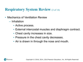 Pec11 chap 10   airway, ventilation, oxygenation