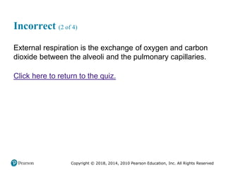 Pec11 chap 10   airway, ventilation, oxygenation