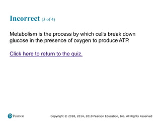 Pec11 chap 10   airway, ventilation, oxygenation