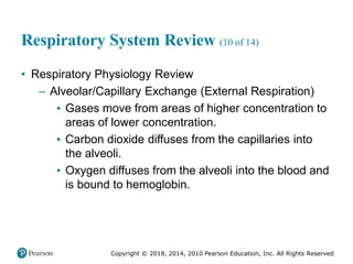 Pec11 chap 10   airway, ventilation, oxygenation